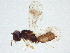  ( - BIOUG50091-H04)  @15 [ ] CreativeCommons - Attribution (2022) CBG Photography Group Centre for Biodiversity Genomics