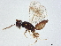  ( - BIOUG50242-H09)  @15 [ ] CreativeCommons - Attribution (2022) CBG Photography Group Centre for Biodiversity Genomics