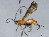  ( - BIOUG62363-B03)  @11 [ ] CreativeCommons - Attribution (2021) CBG Photography Group Centre for Biodiversity Genomics