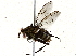 ( - BIOUG73017-D01)  @11 [ ] CreativeCommons - Attribution (2021) CBG Photography Group Centre for Biodiversity Genomics