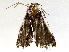  ( - BIOUG73017-F11)  @11 [ ] CreativeCommons - Attribution (2021) CBG Photography Group Centre for Biodiversity Genomics