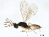  ( - BIOUG49790-H10)  @14 [ ] CreativeCommons - Attribution (2020) CBG Photography Group Centre for Biodiversity Genomics