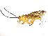  ( - BIOUG62311-F04)  @11 [ ] CreativeCommons - Attribution (2021) CBG Photography Group Centre for Biodiversity Genomics