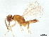  ( - BIOUG63868-A07)  @11 [ ] CreativeCommons - Attribution (2022) CBG Photography Group Centre for Biodiversity Genomics