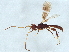  ( - BIOUG46397-C07)  @11 [ ] CreativeCommons - Attribution (2022) CBG Photography Group Centre for Biodiversity Genomics