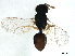  ( - BIOUG46644-A03)  @13 [ ] CreativeCommons - Attribution (2020) CBG Photography Group Centre for Biodiversity Genomics