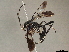  ( - BIOUG49462-E11)  @11 [ ] CreativeCommons - Attribution (2020) CBG Photography Group Centre for Biodiversity Genomics