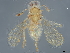  ( - BIOUG58530-C12)  @11 [ ] CreativeCommons - Attribution (2022) CBG Photography Group Centre for Biodiversity Genomics