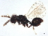 ( - BIOUG63313-E04)  @11 [ ] CreativeCommons - Attribution (2022) CBG Photography Group Centre for Biodiversity Genomics