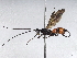  ( - BIOUG62738-G06)  @11 [ ] CreativeCommons - Attribution (2022) CBG Photography Group Centre for Biodiversity Genomics