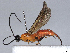  ( - BIOUG62316-A05)  @11 [ ] CreativeCommons - Attribution (2021) CBG Photography Group Centre for Biodiversity Genomics