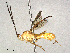  ( - BIOUG62362-D10)  @11 [ ] CreativeCommons - Attribution Share-Alike (2024) CBG Photography Group Centre for Biodiversity Genomics