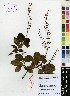  ( - APN_PLEC_157)  @11 [ ] No Rights Reserved (nrr)  Unspecified Unspecified