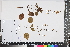  ( - APN_PLEC_25)  @11 [ ] No Rights Reserved (nrr)  Unspecified Unspecified