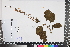  ( - APN_PLEC_9)  @11 [ ] No Rights Reserved (nrr)  Unspecified Unspecified