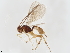  ( - BIOUG56764-C07)  @11 [ ] CreativeCommons - Attribution (2021) CBG Photography Group Centre for Biodiversity Genomics