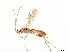  ( - BIOUG58161-D08)  @11 [ ] CreativeCommons - Attribution (2021) CBG Photography Group Centre for Biodiversity Genomics