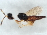  ( - BIOUG58321-A04)  @11 [ ] CreativeCommons - Attribution (2022) CBG Photography Group Centre for Biodiversity Genomics