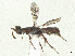  ( - BIOUG57013-C07)  @11 [ ] CreativeCommons - Attribution Share - Alike (2025) CBG Photography Group Centre for Biodiversity Genomics