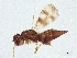 ( - BIOUG57014-F09)  @14 [ ] CreativeCommons - Attribution (2022) CBG Photography Group Centre for Biodiversity Genomics