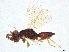  ( - BIOUG57032-A09)  @11 [ ] CreativeCommons - Attribution (2022) CBG Photography Group Centre for Biodiversity Genomics
