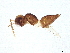  ( - BIOUG59098-H02)  @11 [ ] CreativeCommons - Attribution (2022) CBG Photography Group Centre for Biodiversity Genomics
