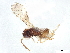  ( - BIOUG59638-E11)  @11 [ ] CreativeCommons - Attribution (2022) CBG Photography Group Centre for Biodiversity Genomics