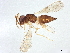  ( - BIOUG60605-B09)  @11 [ ] CreativeCommons - Attribution (2022) CBG Photography Group Centre for Biodiversity Genomics