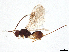  ( - BIOUG60031-B11)  @11 [ ] CreativeCommons - Attribution (2021) CBG Photography Group Centre for Biodiversity Genomics