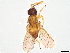  ( - BIOUG59700-G05)  @11 [ ] CreativeCommons - Attribution (2022) CBG Photography Group Centre for Biodiversity Genomics