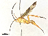  ( - BIOUG56566-C08)  @11 [ ] CreativeCommons - Attribution Share-Alike (2024) CBG Photography Group Centre for Biodiversity Genomics