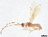  ( - BIOUG57109-H07)  @11 [ ] CreativeCommons - Attribution (2021) CBG Photography Group Centre for Biodiversity Genomics