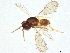  ( - BIOUG64634-F03)  @11 [ ] CreativeCommons - Attribution (2022) CBG Photography Group Centre for Biodiversity Genomics