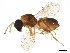  ( - BIOUG50767-C11)  @15 [ ] CreativeCommons - Attribution (2020) CBG Photography Group Centre for Biodiversity Genomics