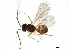  ( - BIOUG51123-A01)  @13 [ ] CreativeCommons - Attribution (2020) CBG Photography Group Centre for Biodiversity Genomics