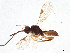  ( - BIOUG58988-H05)  @11 [ ] CreativeCommons - Attribution (2021) CBG Photography Group Centre for Biodiversity Genomics