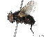  ( - BIOUG58040-H02)  @11 [ ] CreativeCommons - Attribution (2020) CBG Photography Group Centre for Biodiversity Genomics