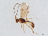  ( - BIOUG59584-B09)  @11 [ ] CreativeCommons - Attribution (2021) CBG Photography Group Centre for Biodiversity Genomics