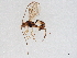  ( - BIOUG61211-F10)  @11 [ ] CreativeCommons - Attribution (2021) CBG Photography Group Centre for Biodiversity Genomics