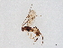  ( - BIOUG61227-A04)  @11 [ ] CreativeCommons - Attribution (2021) CBG Photography Group Centre for Biodiversity Genomics