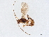  ( - BIOUG61227-E06)  @11 [ ] CreativeCommons - Attribution (2021) CBG Photography Group Centre for Biodiversity Genomics