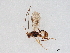  ( - BIOUG61228-C03)  @11 [ ] CreativeCommons - Attribution (2021) CBG Photography Group Centre for Biodiversity Genomics