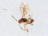  ( - BIOUG59265-D01)  @11 [ ] CreativeCommons - Attribution (2021) CBG Photography Group Centre for Biodiversity Genomics