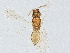  ( - BIOUG62276-G11)  @11 [ ] CreativeCommons - Attribution (2022) CBG Photography Group Centre for Biodiversity Genomics