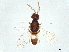  ( - BIOUG64338-G03)  @11 [ ] CreativeCommons - Attribution (2022) CBG Photography Group Centre for Biodiversity Genomics