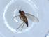  ( - BIOUG51339-D08)  @12 [ ] CreativeCommons - Attribution (2019) Centre for Biodiversity Genomics Centre for Biodiversity Genomics