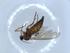  ( - BIOUG51339-E02)  @12 [ ] CreativeCommons - Attribution (2019) Centre for Biodiversity Genomics Centre for Biodiversity Genomics