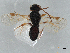  ( - BIOUG51371-G02)  @11 [ ] CreativeCommons - Attribution (2021) CBG Photography Group Centre for Biodiversity Genomics
