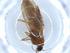  ( - BIOUG51366-G04)  @11 [ ] CreativeCommons - Attribution (2019) Centre for Biodiversity Genomics Centre for Biodiversity Genomics