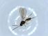  ( - BIOUG51409-D05)  @12 [ ] CreativeCommons - Attribution (2019) Centre for Biodiversity Genomics Centre for Biodiversity Genomics